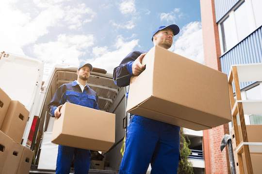  Xynpavi  Scheduled Business Deliveries