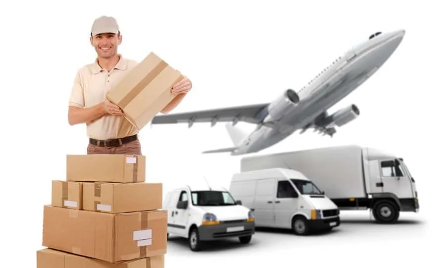  Xynpavi  Global Courier Delivery